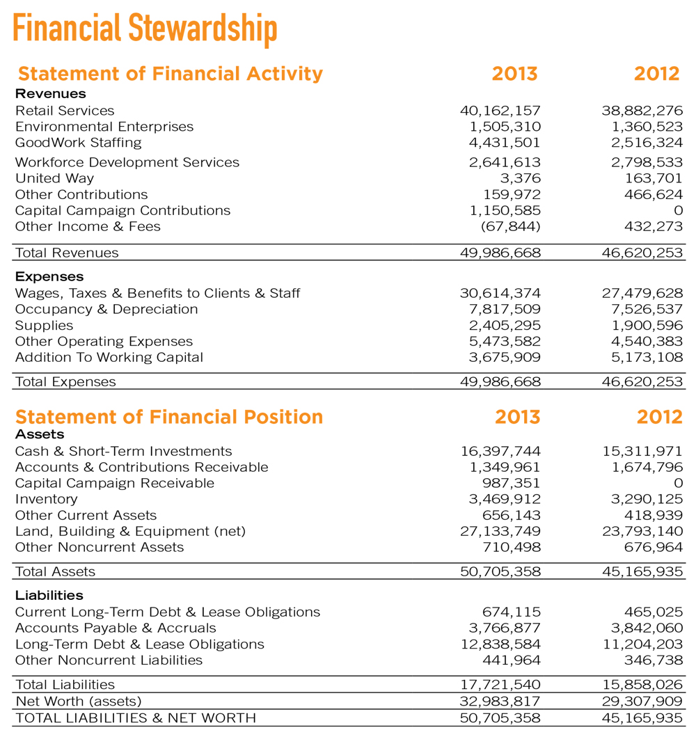 2013 Goodwill financial statement 2013 Goodwill financial statement